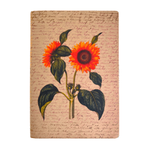 Caderneta G 14x20 cm Girassol