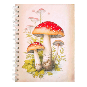 Caderno 16 x 22 cm Cogumelo Vermelho
