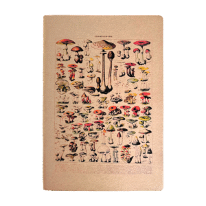 Caderneta G 14x20 cm Botânica Cogumelos